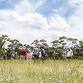 Grassland tour – Woorndoo, Wickliffe, Rokewood event in Woorndoo VIC
