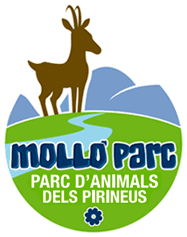 HOME - Molló Parc