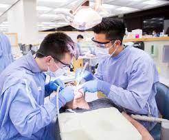 The faculty of dentistry university of malaya was the first institution of higher learning in malaysia to offer a degree course to train local candidates to become skilled professional dentists. The Most Frequently Asked Questions About Dentistry In Malaysia