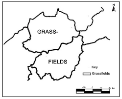 Image result for Ficus oreodryadum