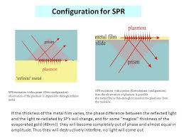 Therefore, it was appropriate that otto hahn, lise meitner, and fritz strassmann teamed up to combine their expertise in both fields. Surface Plasmon Resonance Spr Ppt Video Online Download