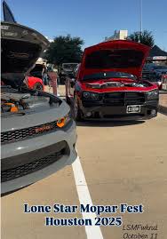 Image result for Stryker Purple 2026 Durango