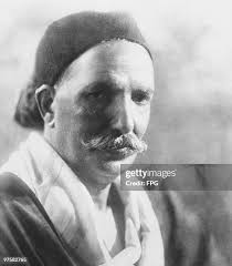 21 Bassal Stock Photos, High-Res Pictures, and Images