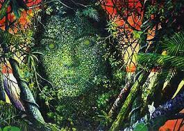 Tree Lady Ayahuasca Plant Ayahuasca Ceremony Ayahuasca