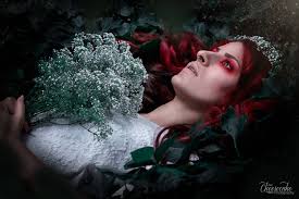 Cookie Van Cheesecake