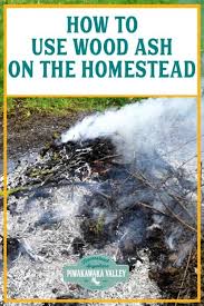5 Ways To Use Wood Ash In Your Home And Garden Urban Garden Fertilizer For Plants Gardening For Beginners