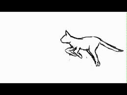 Cat ready 7 cats cats jumping pounce leaping cat cat stalking flying kitten cat with chicken flying cat white background pouncing cat isolated. Pouncing Cat Sketch Youtube