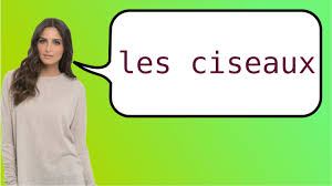 This usage is viewed as nonstandard in the linguistic community, though it may eventually gain acceptance. How To Spell Scissors In French Online Discount Shop For Electronics Apparel Toys Books Games Computers Shoes Jewelry Watches Baby Products Sports Outdoors Office Products Bed Bath Furniture Tools