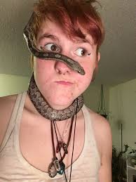 What is the difference between a snake and a lizard?