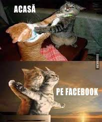 Așa petrecea regele mihai crăciunul. Cum E Acasa Si Cum E Pe Facebook Poze Haioase Imagini Amuzante Meme Sugubat