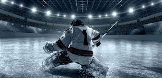 Ìîæíî ñìîòðåòü îíëàéí áåç ðåãèñòðàöèè. Eishockey Gehalter Im Vergleich Wo Steht Der Kufensport Eishockey Magazin