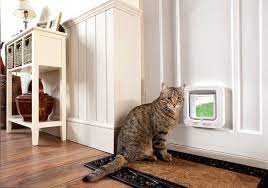 Can i replace a broken flap in my cat door? The Sureflap Microchip Cat Flap Keep Unwanted Cats Out