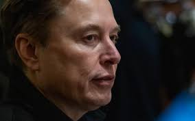 James Fishback Trump Support News (1+ Articles)