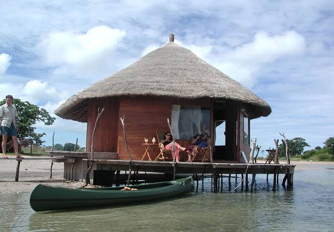 Les Collines de Niassam : Le guide complet pour une escapade réussie dans le Sine-Saloum