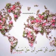أمر على الديار ديار ليلى أقبل ذا الجدار وذا الجدارا وما حب الديار شغفن قلبي ولكن حب من سكن الديارا قيس بن الملوح Love Flowers Floral Flowers