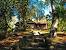 Ocala National Forest Florida