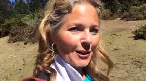 Millions of Monarch Butterflies in Mexico