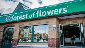 Franchise department 201 king st. Forest Of Flowers Tourism London