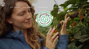 Berry Bulletin Archives