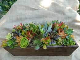 Succulent Centerpieces Succulent Centerpieces Succulent Wedding Table Fall Wedding Table Decor