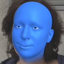 2204.02776] 3D Face Reconstruction with Dense Landmarks