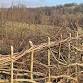 Hedge Laying Course - Day 2 event image