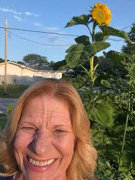 Any tips for acclimating butterflies to sunlight?