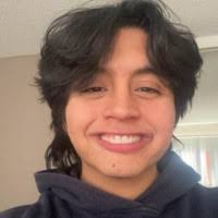 1400+ "Nestor" profiles