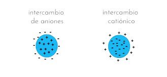 Intercambio aniónico y catiónico