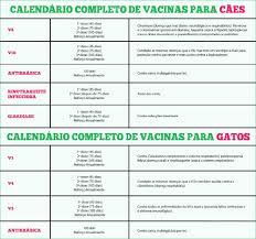 No entanto, o documento, que pode ser solicitado em postos da anvisa, é uma ótima garantia de que está tudo. Tabela De Vacinas Ollivet
