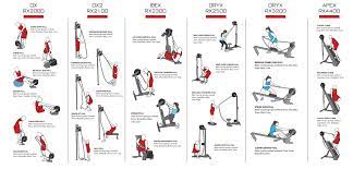 Trapezius , lower back , teres muscles , deltoids , biceps , hand flexors. Ropeflex Quick Start Guide Ropeflex Fitness Equipment