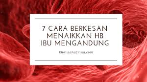 Syarat yang kita pasang banyak banget: 7 Cara Berkesan Menaikkan Hb Ibu Mengandung Khalisahazrina Com