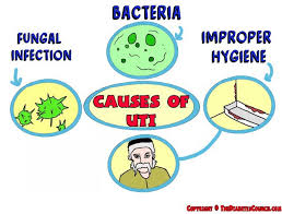 Check spelling or type a new query. Urinary Tract Infection Causes Symptoms Cure In Sync Blog By Nua