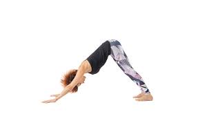 Maybe you would like to learn more about one of these? Downward Facing Dog Adho Mukha Svanasana