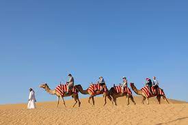 Upload, livestream, and create your own videos, all in hd. Abu Dhabi Morning Desert Safari Camel Ride Sandsurfing 2021