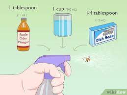 (alternatively, achieve the same result simply by combining. 3 Ways To Use Home Remedies To Get Rid Of Gnats Wikihow