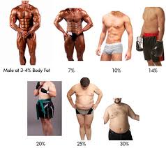 Body Fat Percentage Guide Bmicalculators Com