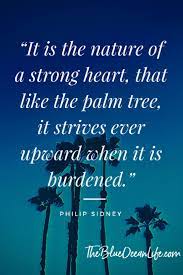 Be Strong Like A Palm Tree Blueoceanlife Bol Blueoceanlifeco Motivation Palm Tree Quotes Tree Quotes Inspirational Quotes