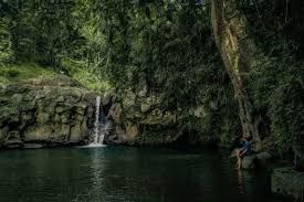 Jual tiket masuk tiket curug cilember ticket online. Tiket Masuk Curug Tempuran Lokasi Rute Tiket Masuk Curug Bandung Wisata Air Terjun Di Karawang Tahun 2020 Portal Arsip Berita Karawang Center Harga Tiket Masuk Curug Lawe Terrabite Erstaunen