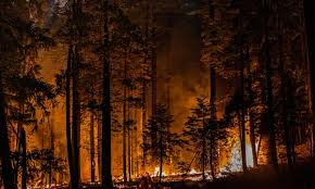 The fire started on august 14 between omo ranch and grizzly flats, near the middle fork of the cosumnes river. Caldor Fire Continues To Rage After Winds Fan Northern California Blaze California The Guardian
