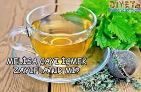 Melisa Cayi Icmek Zayiflatir Mi Saglikli Zayifla Mutlu Kal Saglikli Yemek Canta