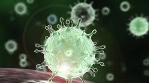 The set includes six sheets filled with horrifying and colorful peelable decals that are. Flushing With Close Toilet Lid Can Help Fight Against Covid 19 Says Study
