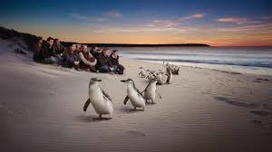 Wisata dan liburan di melbourne: 6 Tempat Wisata Di Melbourne Yang Terbaik