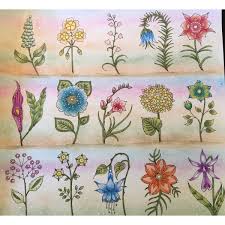 I make books so you can make masterpieces! Johanna Basford World Of Flowers Basford Coloring Books Pencil Shading