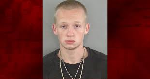 Man who drop kicked mother's cat back behind bars after violating probation 