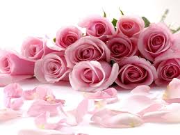 Resultado de imagen de rosas