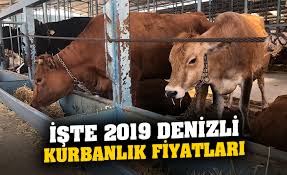 2019 Denizli Kurbanlik Fiyatlari Ne Kadar Iste Denizli Canli Hayvan Pazari Kucukbas Ve Buyukbas Kurbanlik Fiyatlari Denizli Haber Denizli Gazetesi