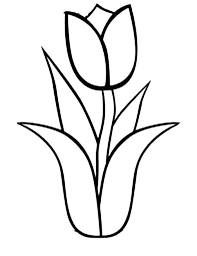 Small Tulip Border Coloring Pages Spring Coloring Pages Flower Coloring Pages Spring Tulips