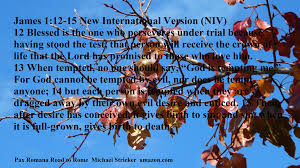 James 1 12 15 Niv In 2020 Meaning Of Love Peace And Love Pax Romana