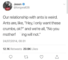 27 Hysterical Memes That Will Make Your Brain A Little Happier In 2020 Very Funny Memes Funny Tweets Funny